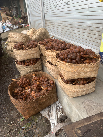 Salak Gula Pasir > Salacca zalacca var. amboinensis